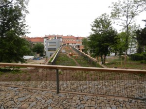 DSCN5267