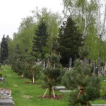 DSCN4844