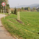 FOTO 2010 - DOBŘICHOVICE 099