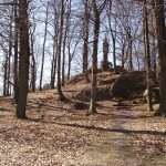 FOTO 2011 - CACOVICKÝ OSTROV, SLATIŇANY TŘEŠŇOVKA, LEŠNÁ 068