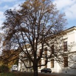 PA280554