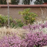 jeskyne_vypustek_2_04 jeskyne_vypustek_2_04