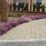 jeskyne_vypustek_2_05 jeskyne_vypustek_2_05