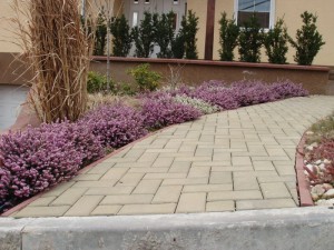 jeskyne_vypustek_2_05 jeskyne_vypustek_2_05