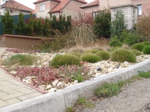 jeskyne_vypustek_2_06 jeskyne_vypustek_2_06